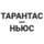 TN-icon